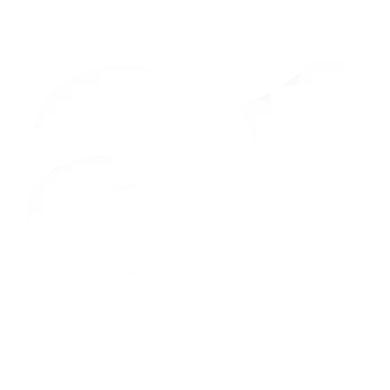 A1